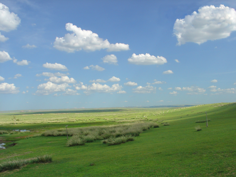 Ciel bleu avec champs de verdure